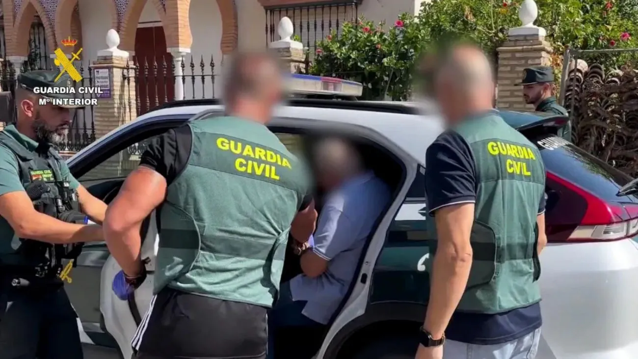 Olive non pagate: 258 produttori denunciano perdite per 1,76 milioni di euro