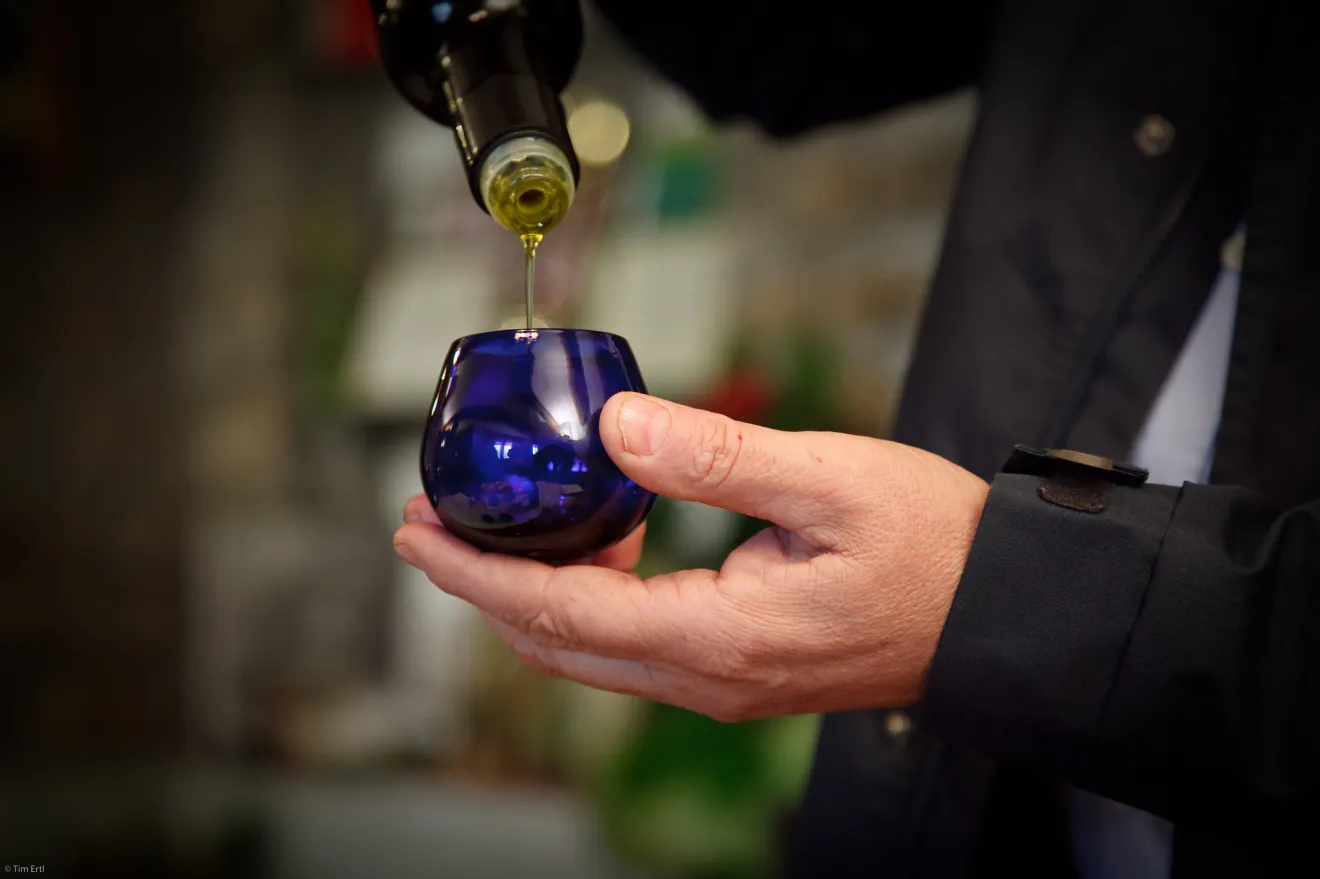 Osservatorio olivicolo veneto, una nuova struttura per mappare oliveti e produttori