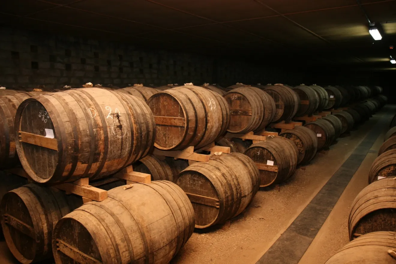 Il successo del vino italiano non è solo questione di singole cantine, ma di ecosistemi territoriali