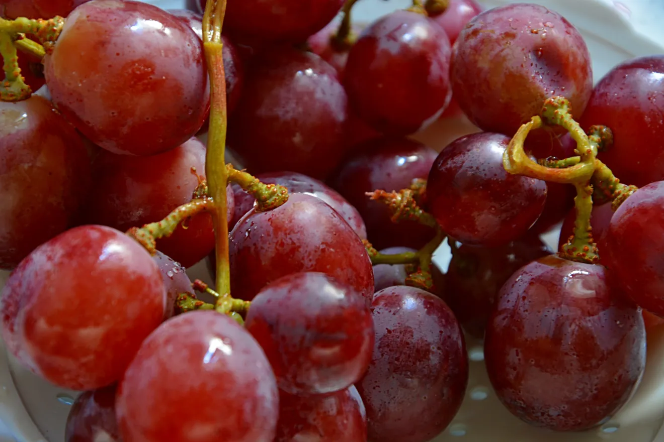 Il prezzo della frutta autunnale: offerta abbondante di una da tavola