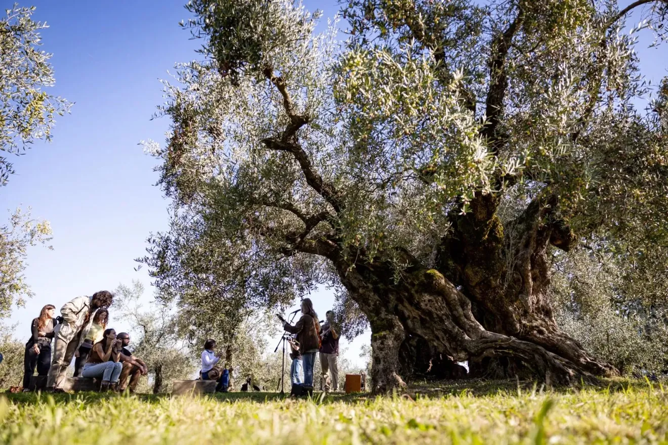 Frantoi Aperti in Umbria: dal 17 ottobre al 15 novembre