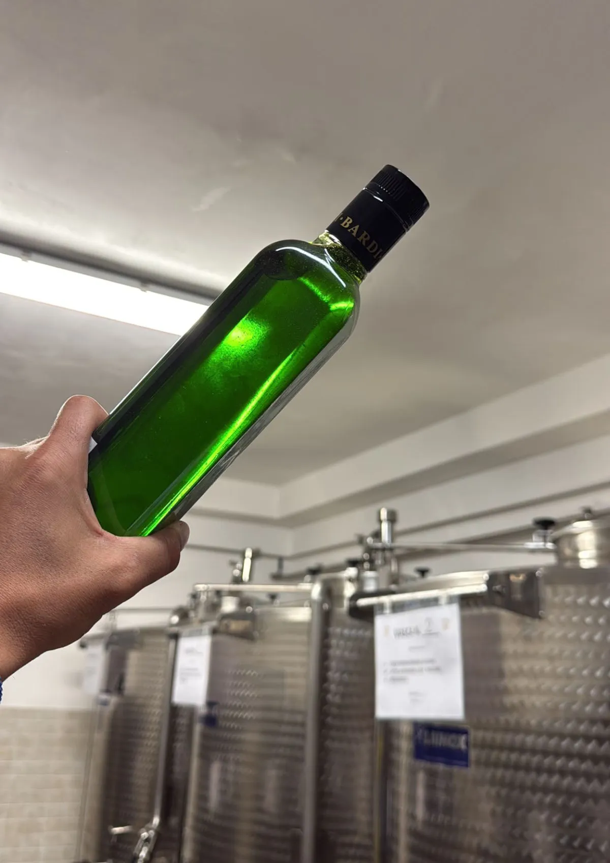 Fiocco Verde per Bardi, l'identità toscana tra ulivi e qualità