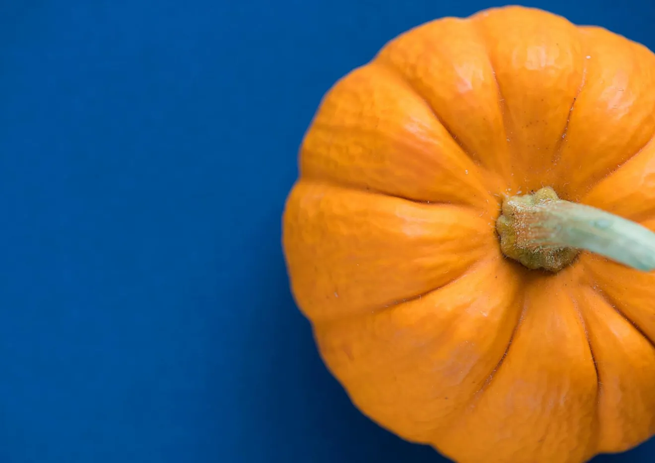 La zucca è l'oro dell'autunno tra gusto, tradizione e salute
