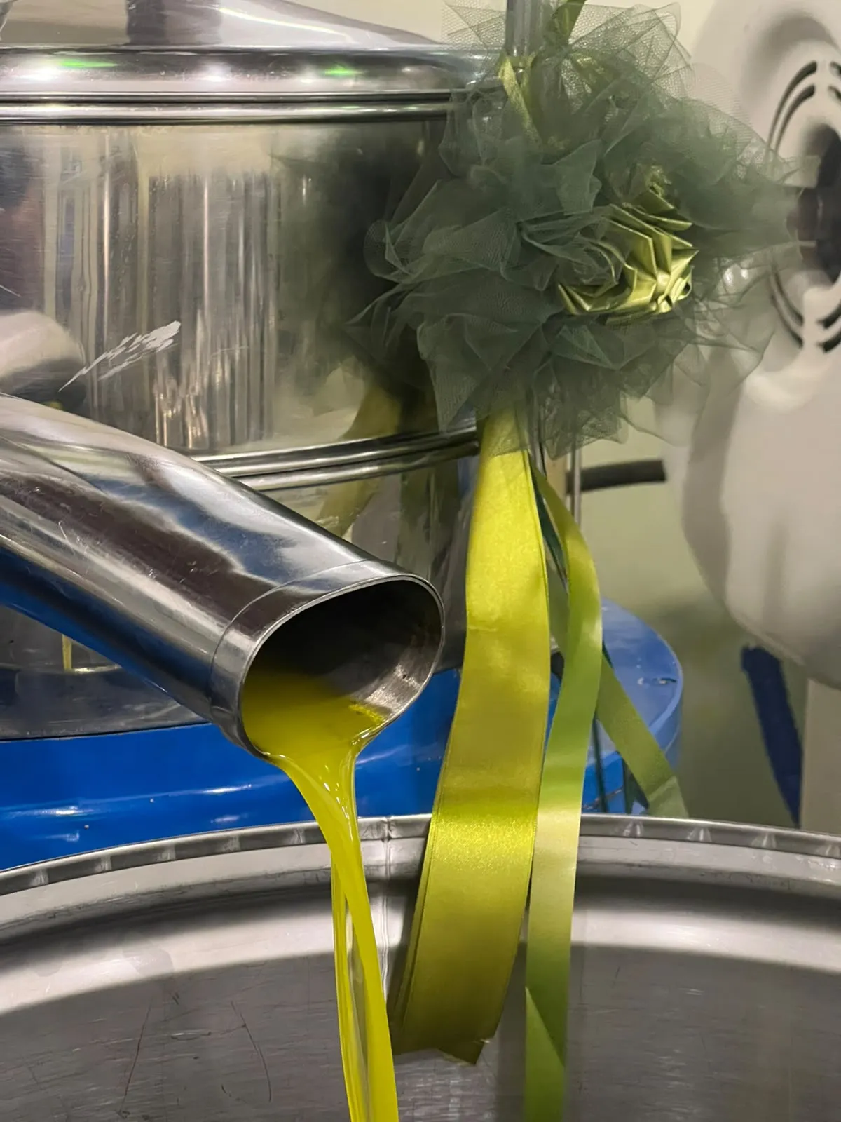 Fiocco Verde per San Romualdo, l’olio biologico nel cuore dell’Umbria