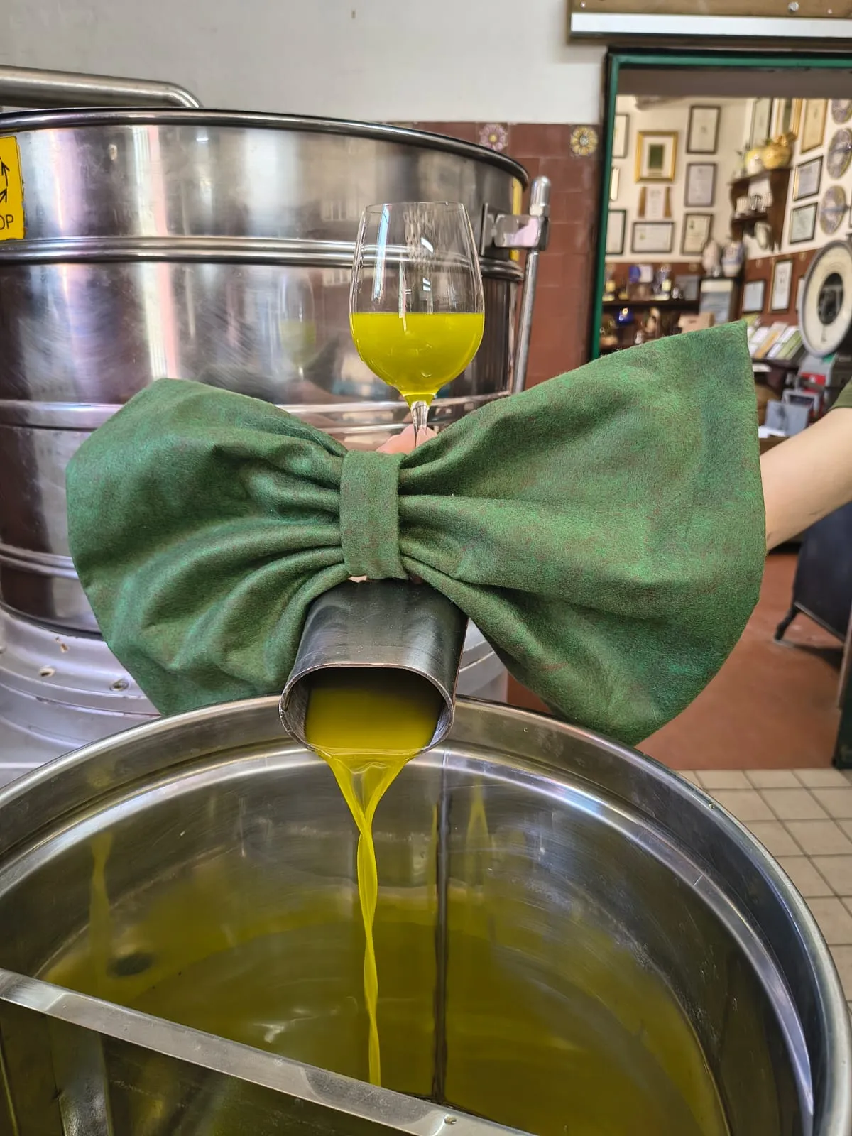 Fiocco Verde per Frantoio Batta, un secolo di extravergine nel cuore dell’Umbria