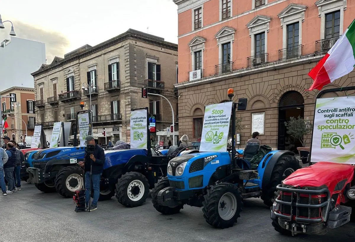 Crisi dell'olio di oliva italiano, duemila olivicoltori in piazza a Bari
