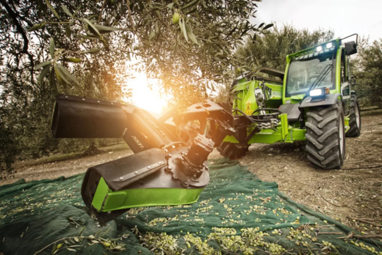 Scuotitori per la raccolta delle olive: come scegliere la macchina giusta e ottimizzare l’efficienza del cantiere