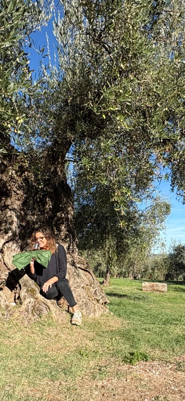 Fiocco Verde per Oro di Giano, non solo piante di olivo, patriarchi