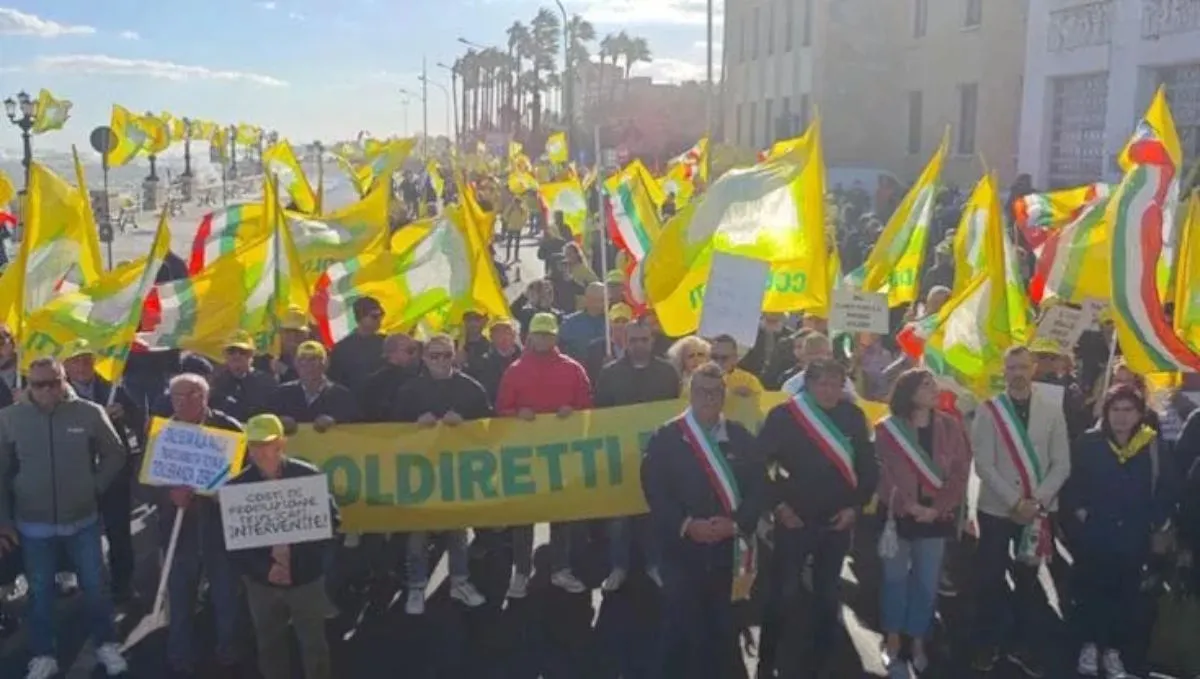 Coldiretti in piazza a Bari contro la crisi dell'olio