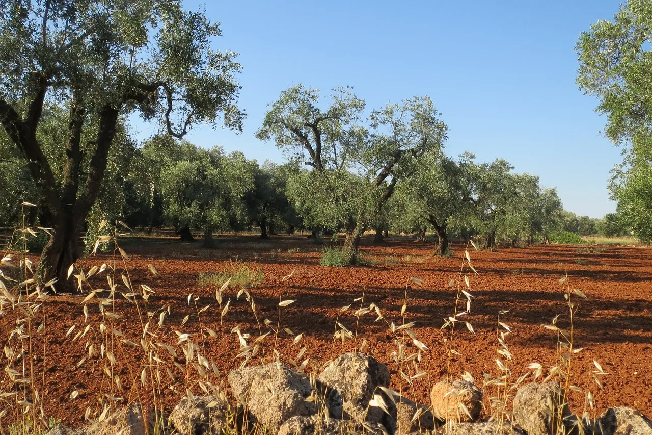 L'agricoltura del Salento è ancora viva: l'esperienza di Adaf Sardegna