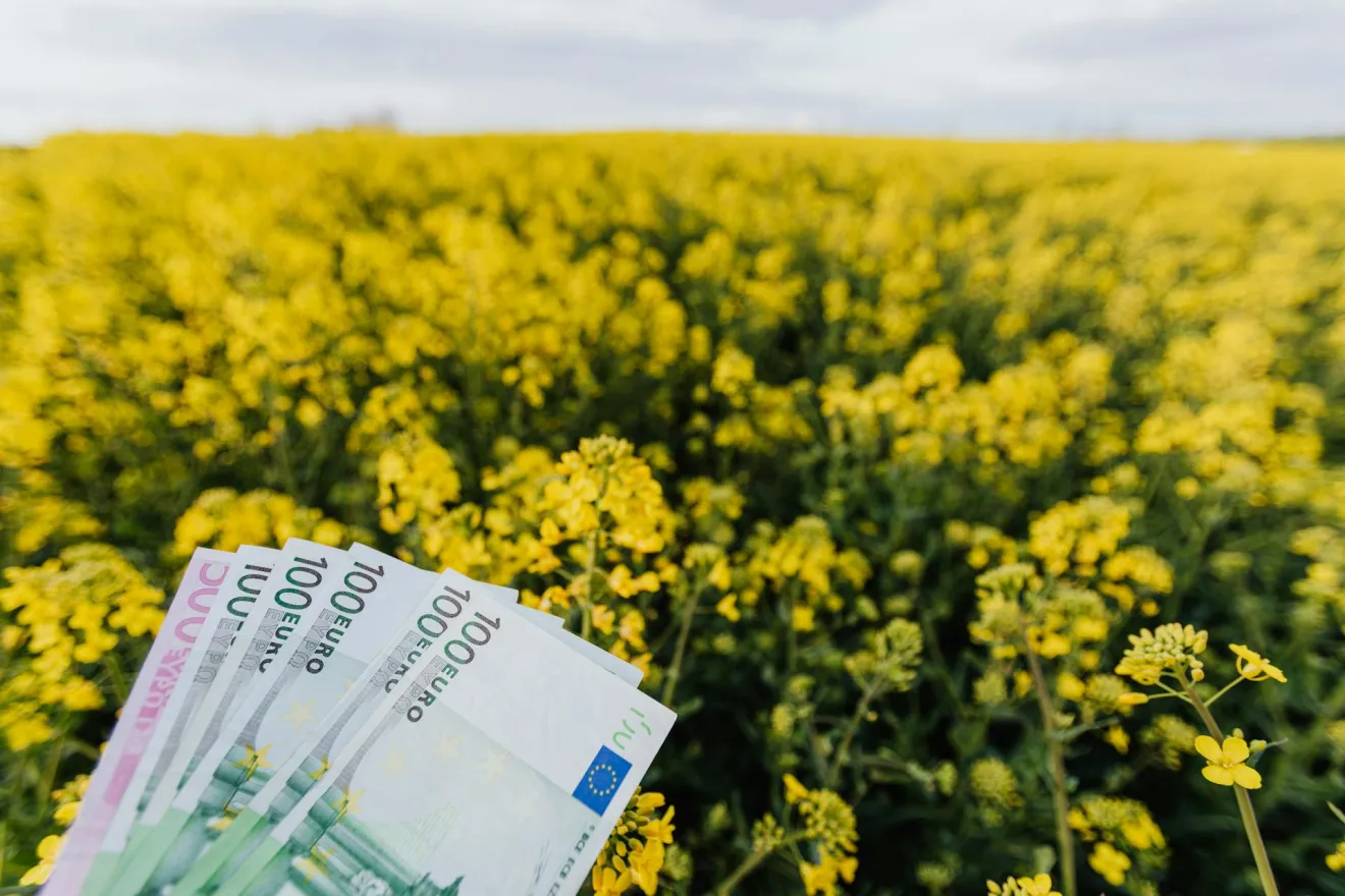 Effetto El Niño nel 2027 l'economia mondiale rischia perdite fino a 1.000 miliardi di dollari