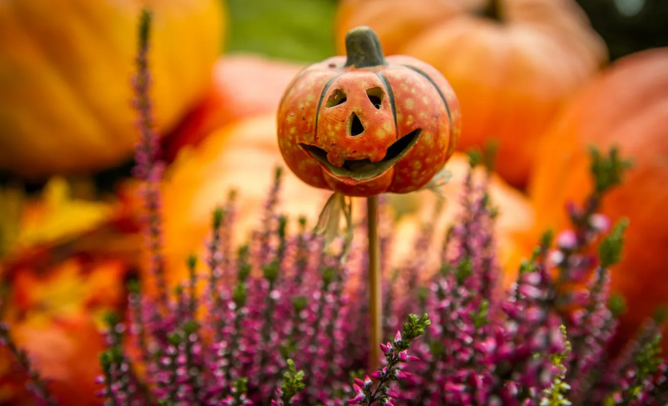 Firenze si veste d'autunno tra zucche, sculture di paglia e atmosfere di Halloween
