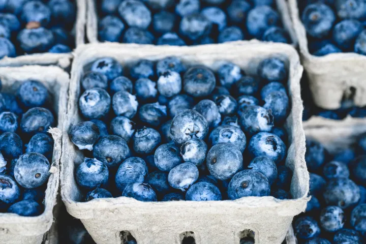 Mirtilli, piccoli frutti dalle grandi proprietà: dalla cucina alla ricerca sul buonumore