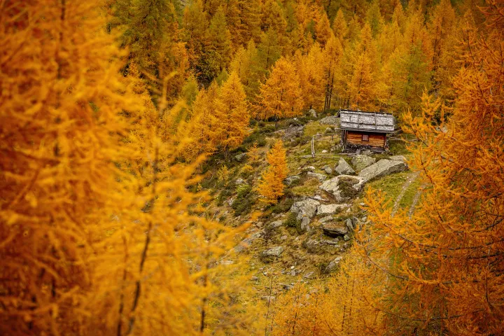 Il Sentiero della Creazione: otto opere per raccontare la Genesi sull’Alpe di Rodengo-Luson, nell’Area Vacanze Sci e Malghe Rio Pusteria