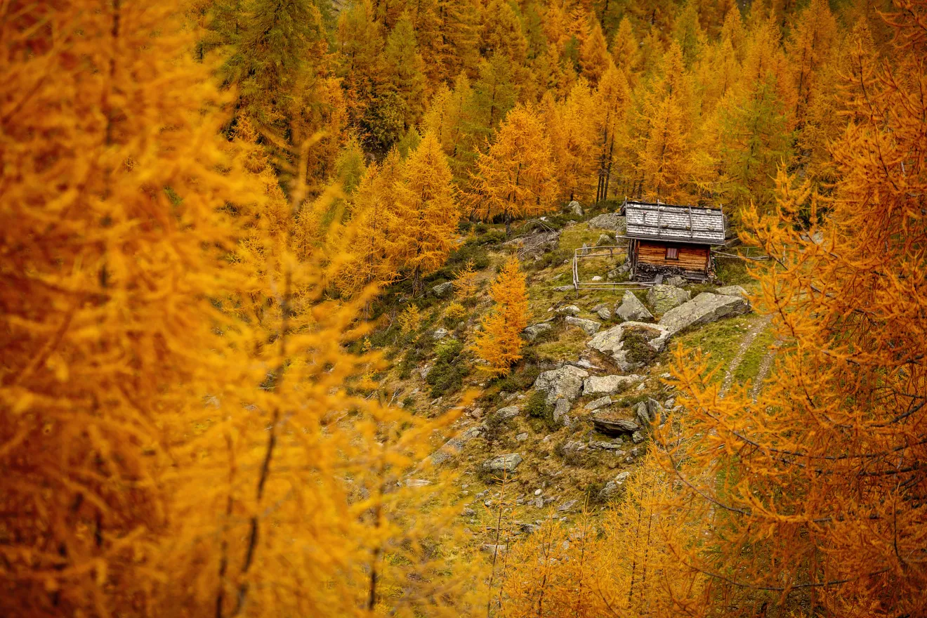 Il Sentiero della Creazione: otto opere per raccontare la Genesi sull’Alpe di Rodengo-Luson, nell’Area Vacanze Sci e Malghe Rio Pusteria