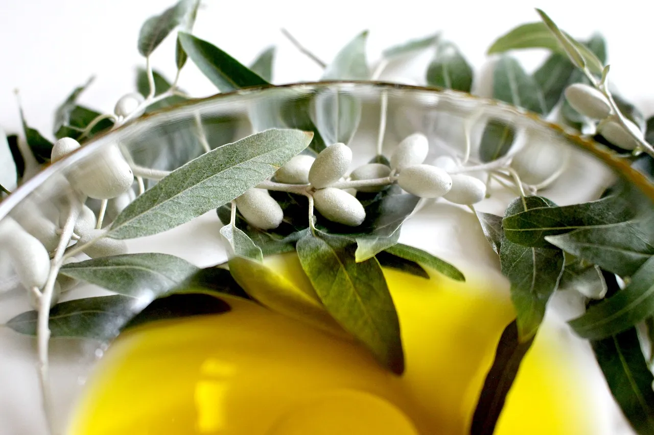 Il relitto di Ses Fontanelles: un carico di olio d'oliva, garum e storia al largo di Palma di Maiorca