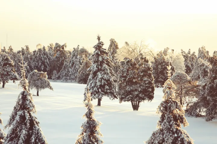 L’inverno potrebbe arrivare in anticipo: aria fredda da Est e neve sulle Alpi