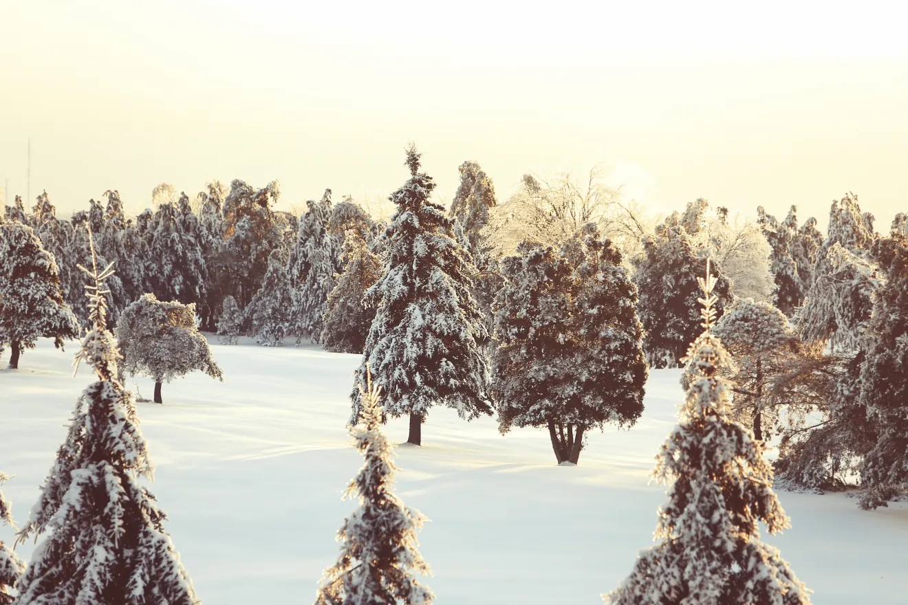 L’inverno potrebbe arrivare in anticipo: aria fredda da Est e neve sulle Alpi