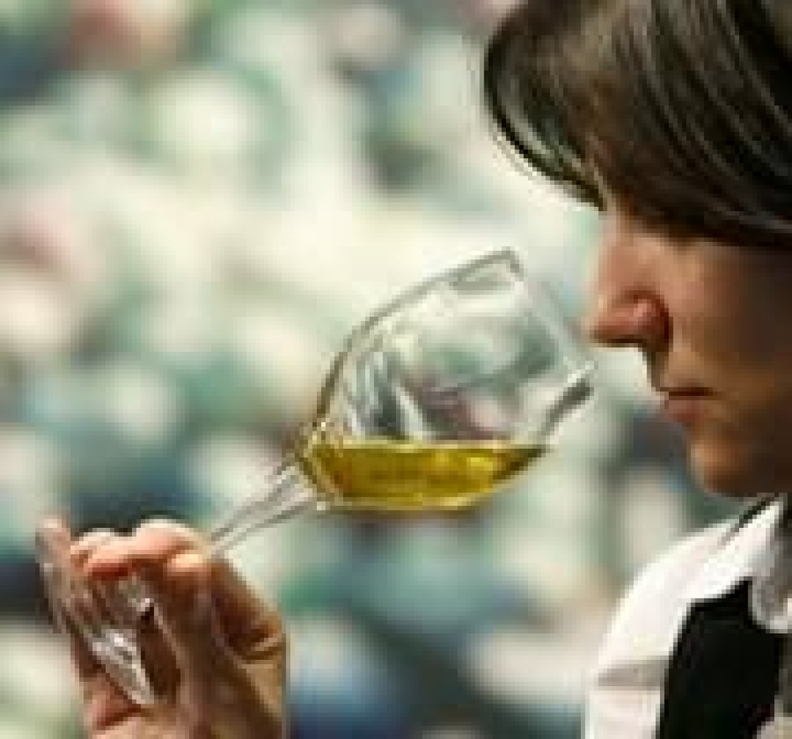 Un convivio Dei Sensi Per Capire La Funzionalit Sensoriale Dell olio