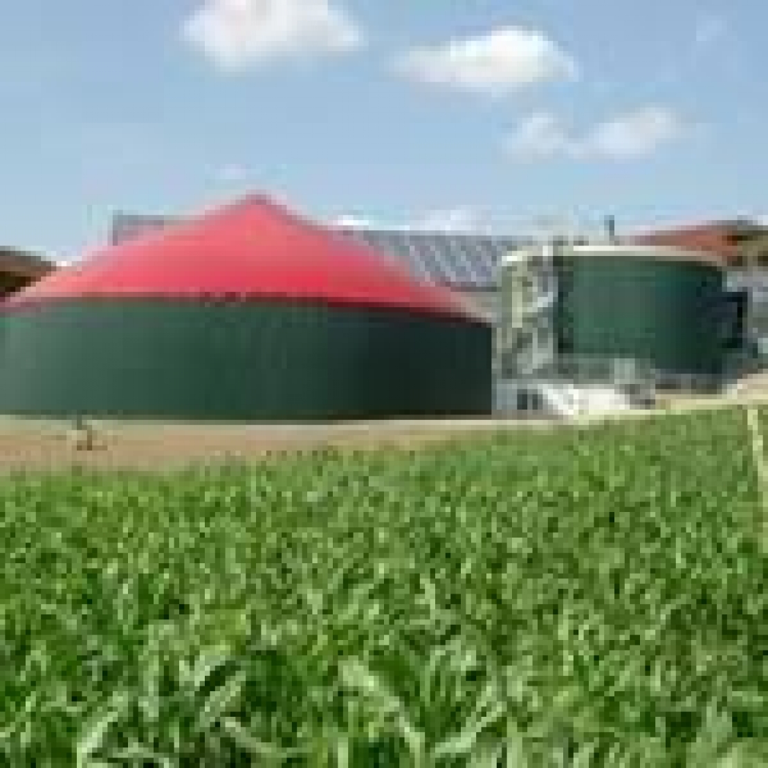 Incentivi per gli impianti a biogas. Un'opportunità da non perdere