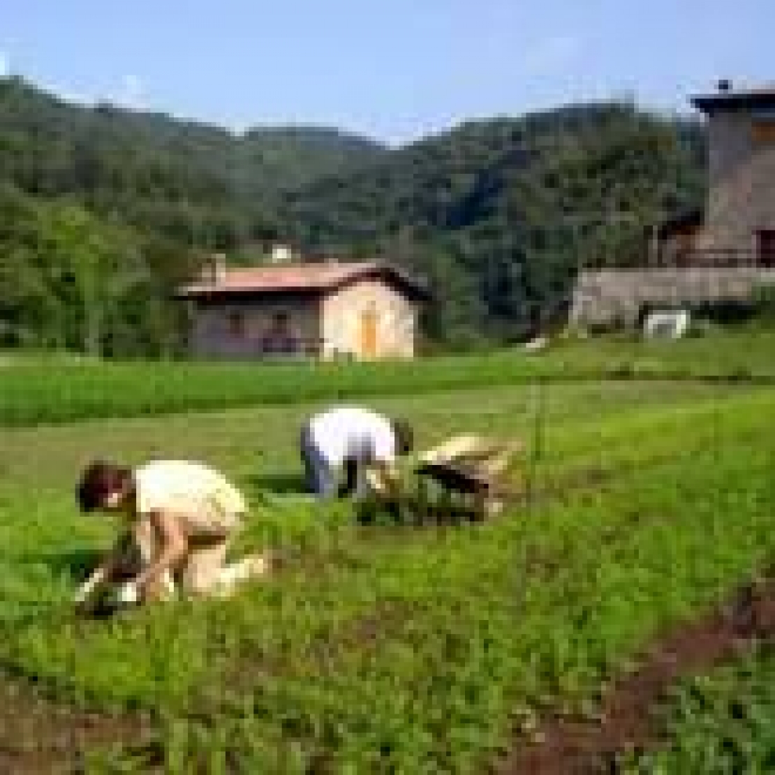 L'agricoltura italiana non può giocare in difesa e solo per la sopravvivenza