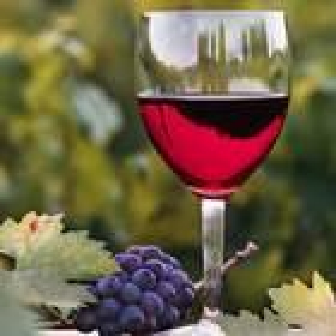 Nasce l'Enoteca regionale del Molise