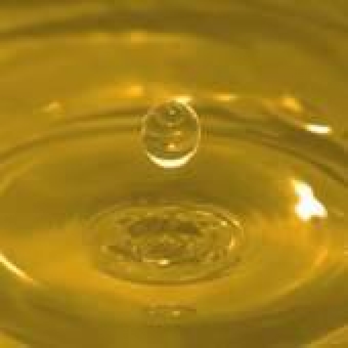 E' fuorilegge la dicitura Bassa Acidità sull'etichetta dell'olio extra vergine d'oliva