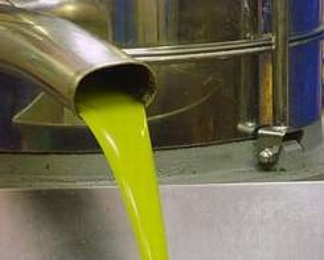 Oltre le peggiori previsioni. Le 200 mila tonnellate di olio di oliva per l'Italia sono un miraggio