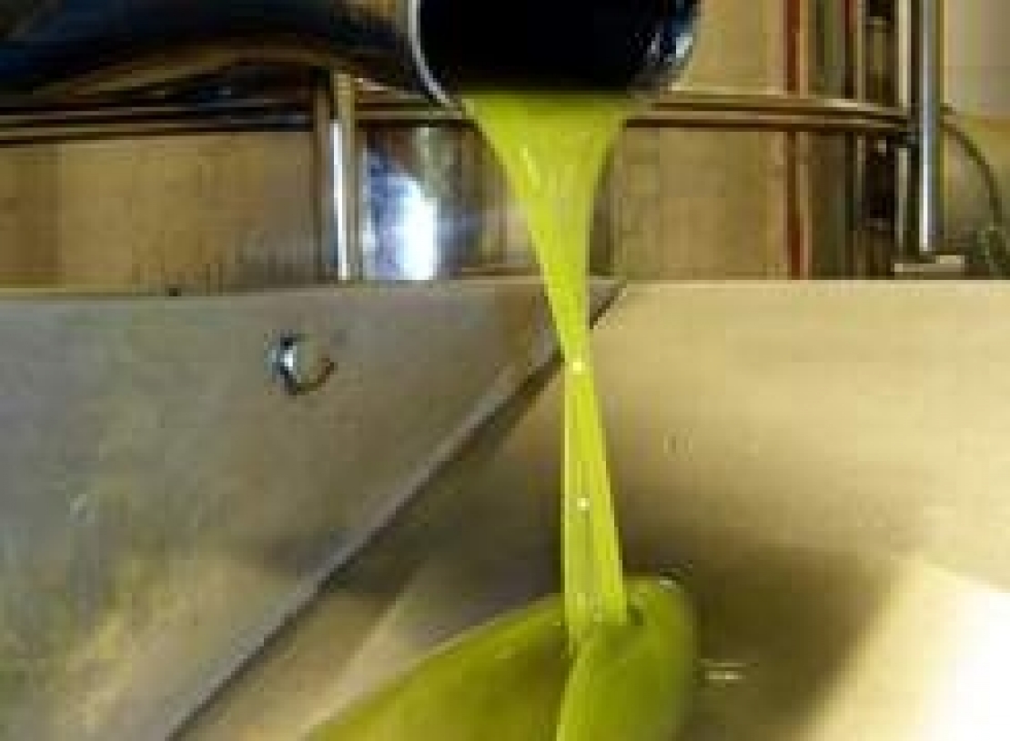 Gli ultrasuoni nel processo di estrazione dell’olio extravergine di oliva