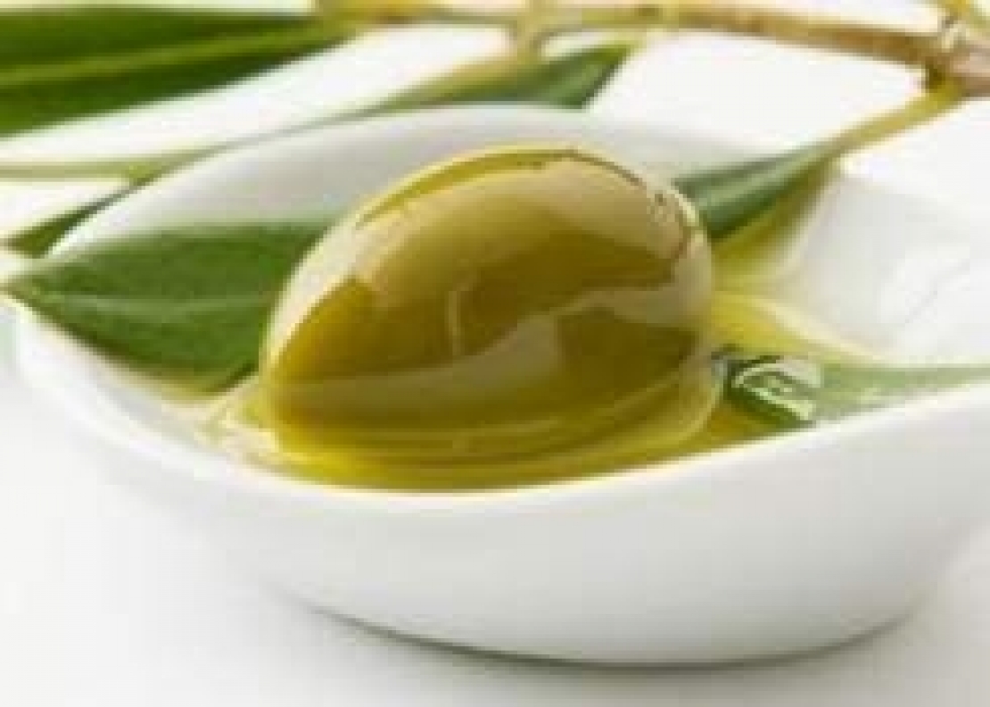 Dagli antichi Romani ad oggi. Qual'è il vero significato dell'olivo e dell'oliva?