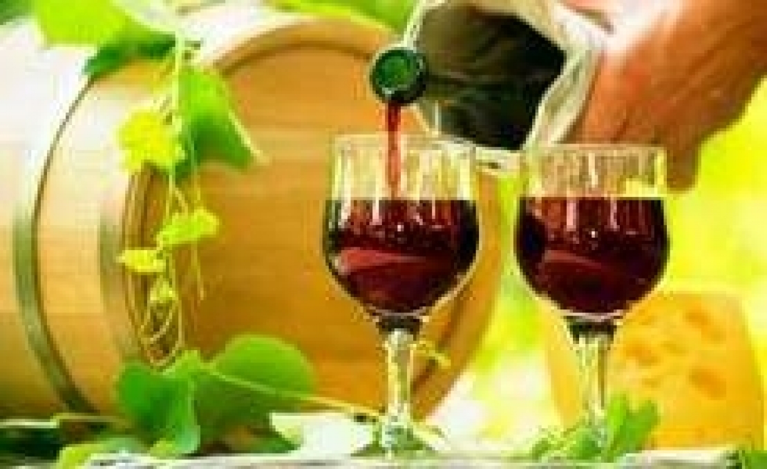 Produrre vini biologici si può e non è solo questione di tecnica