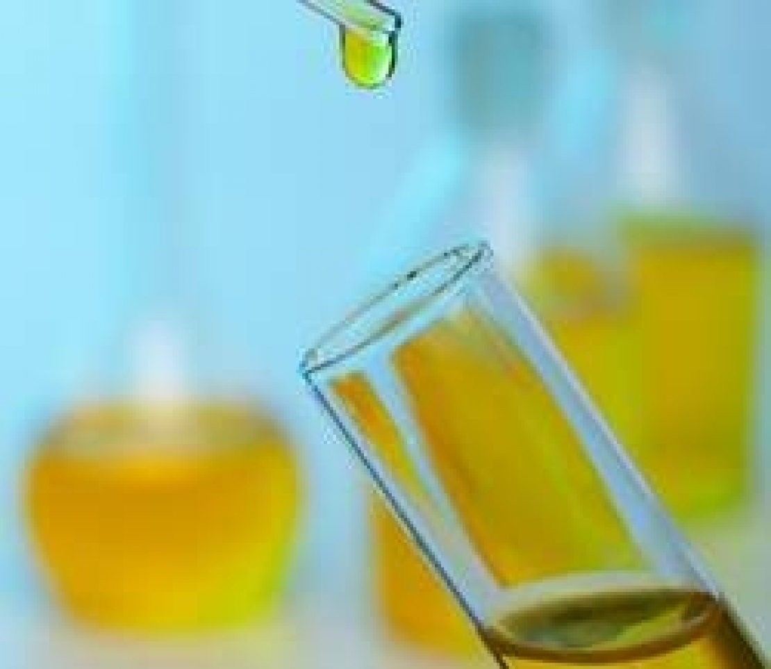 Ftalati, alchil esteri e panel test. Lo sguardo dell'American Oil Chemists Society sull'olio di oliva