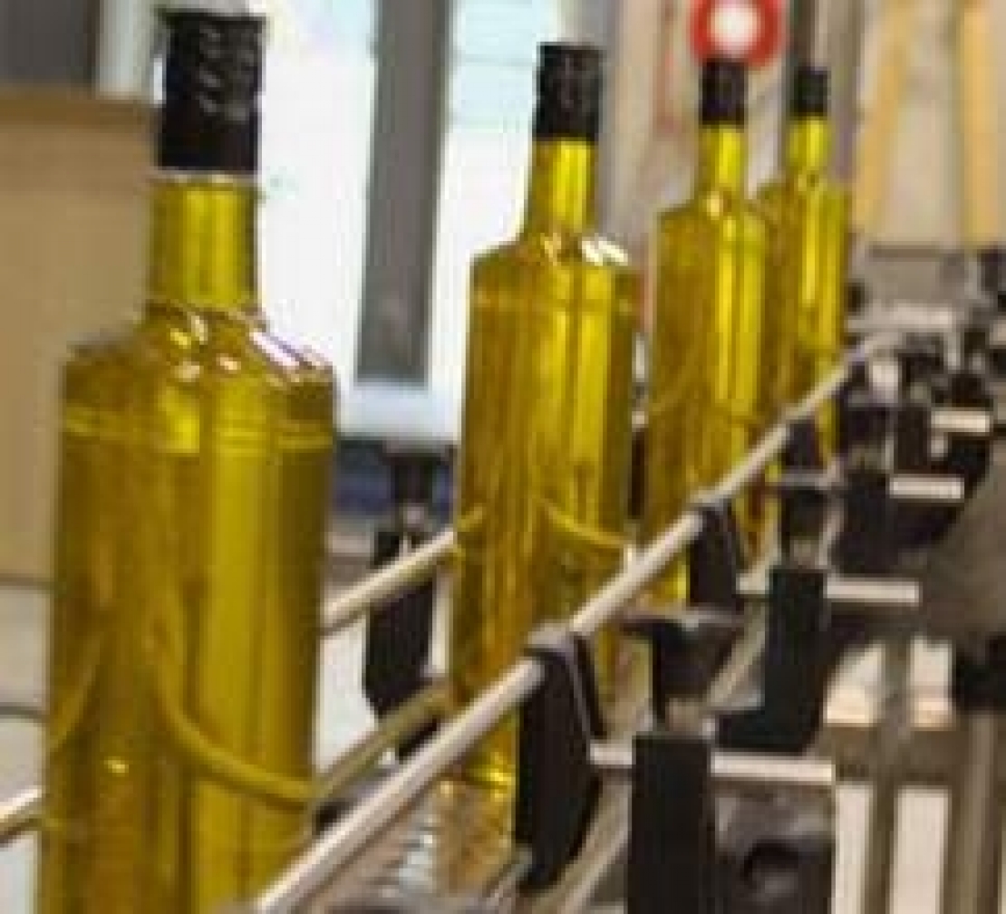 La qualità dell'olio extra vergine d'oliva è una questione “politica”. Chi pensa al consumatore?