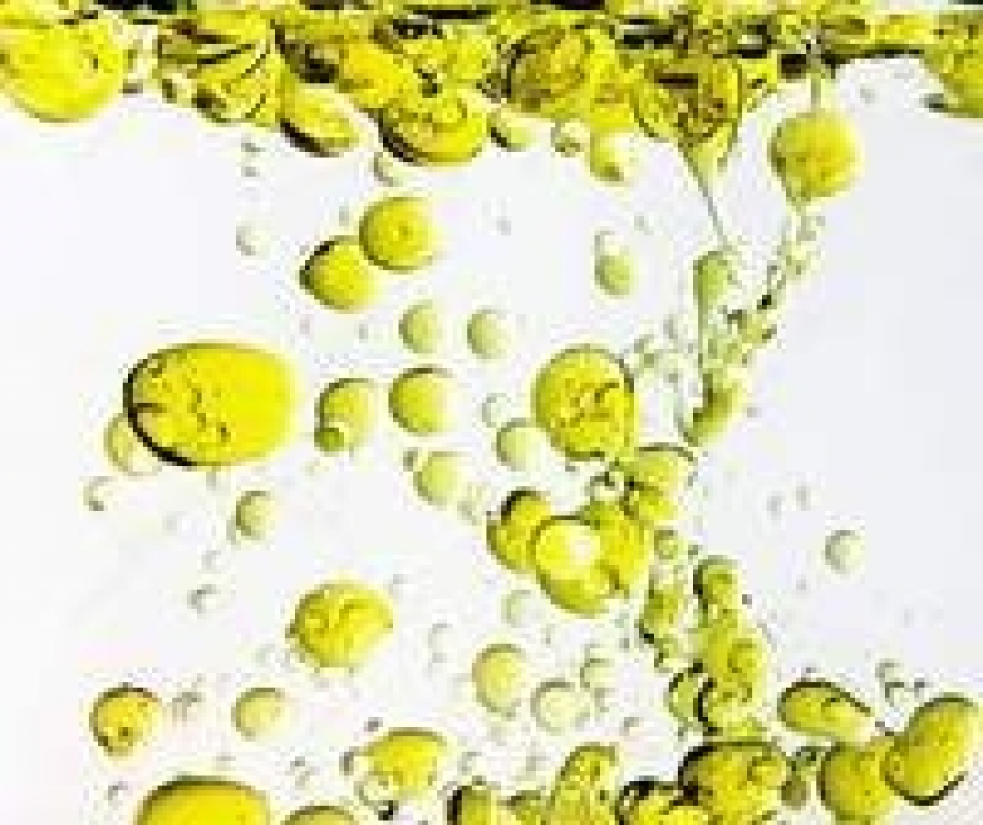 In Italia si “ruba”, con frodi e sofisticazioni, mentre all'estero vogliono il nostro olio d'oliva migliore
