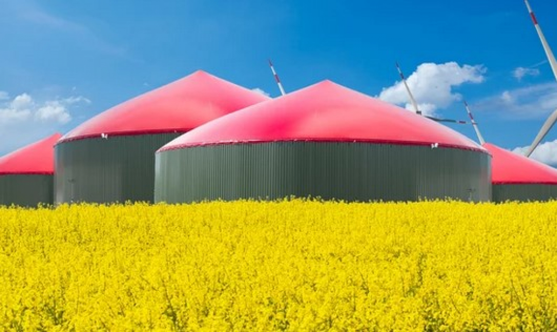 Biogas e biomentano agricolo per rilanciare l'economia del Sud Italia