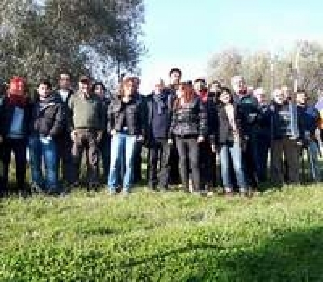 I Futuri Professionisti Della Potatura Degli Olivi Si Formano Negli 