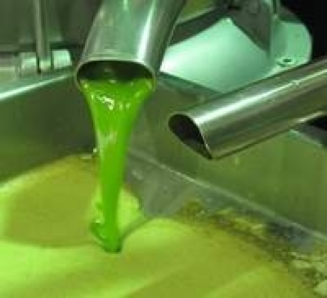 Nelle mense scolastiche olio d'oliva biologico comunitario, perchè?