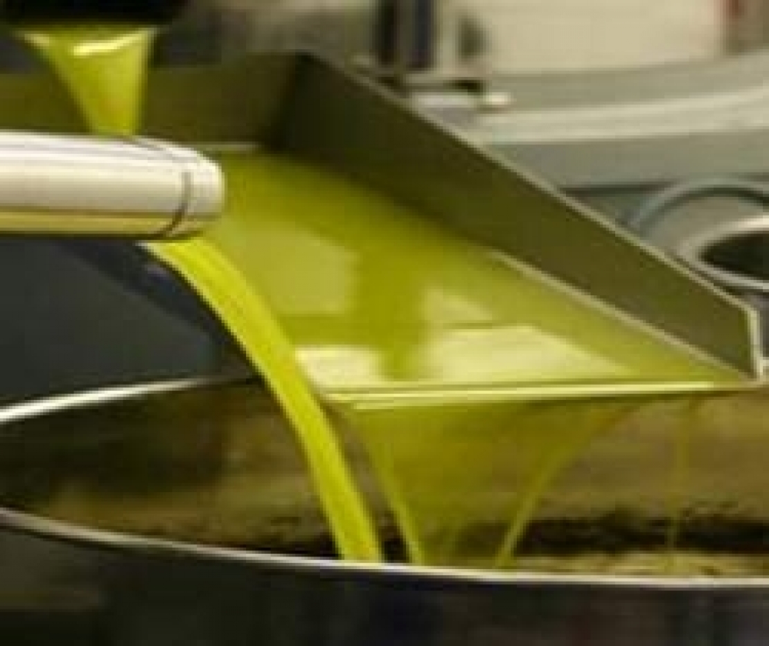 Tutte le sanzioni sull'etichettatura dell'olio d'oliva. Il nuovo decreto legislativo 103/2016