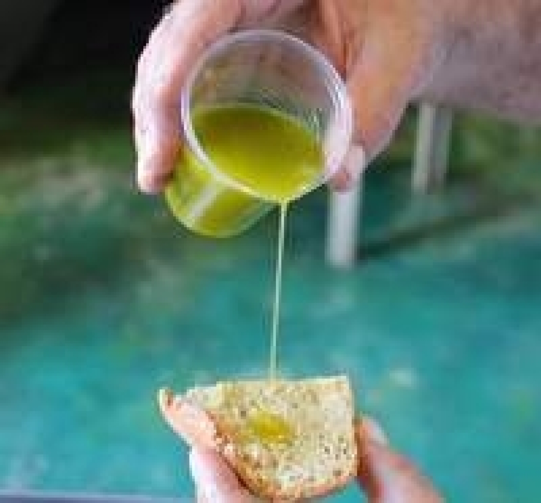 La tecnica di assaggio dell'olio d'oliva, laddove primeggiano gli italiani