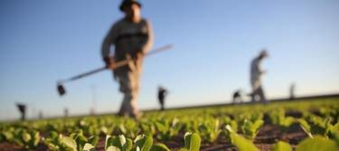 Una legge per tutelare l'agricoltura contadina