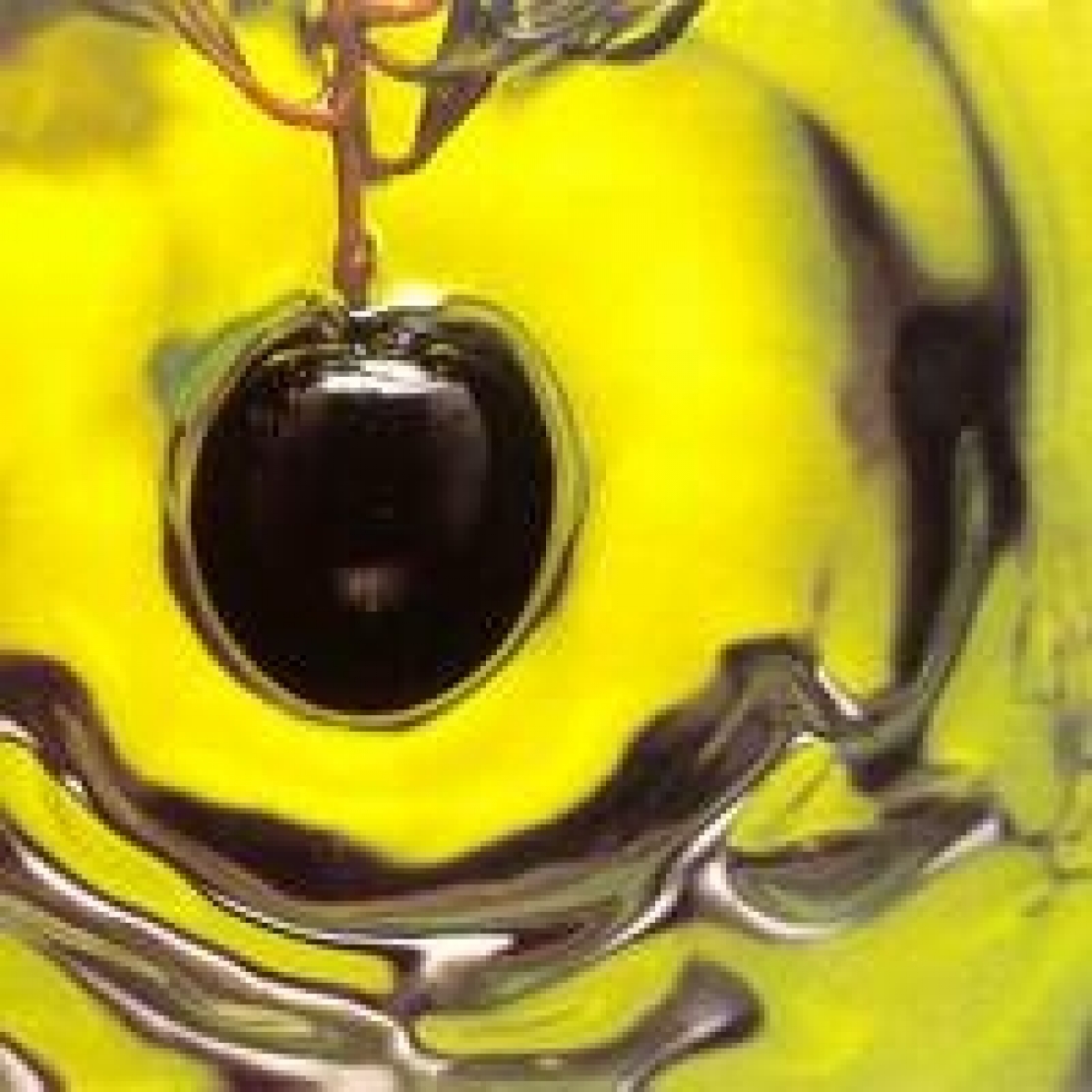 É il frantoiano la radice da cui far attecchire la “cultura di prodotto” sull'olio extra vergine d'oliva