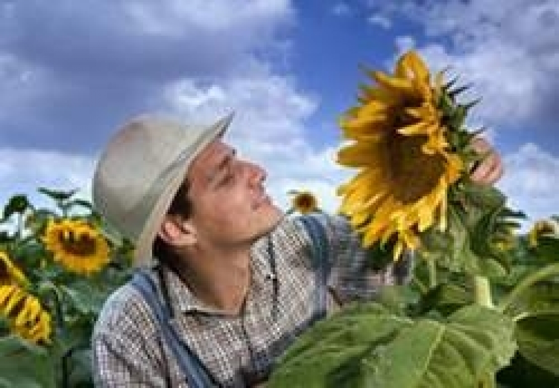 Agricoltura contadina e filiera a Km0, motore dell'Italia agricola?