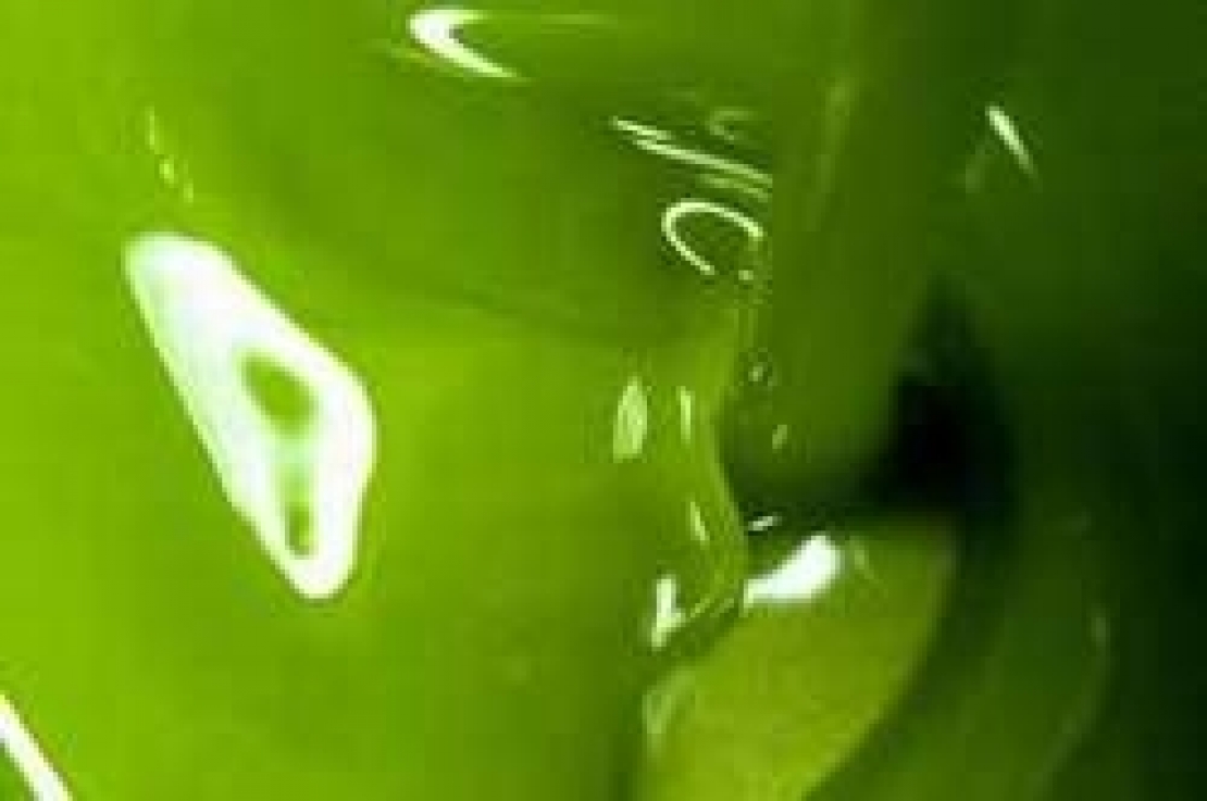 Impariamo ad utilizzare al meglio l'olio extra vergine di oliva nuovo