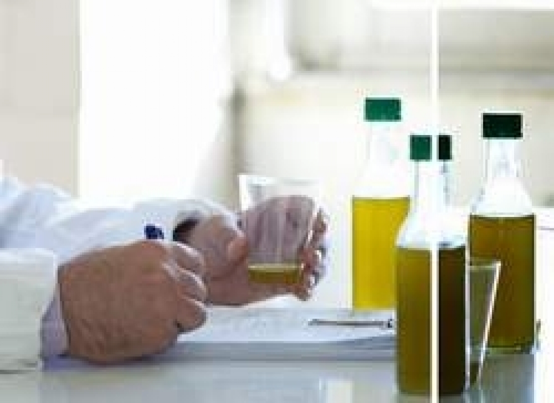 L'analisi chimica in supporto al panel test, un nuovo approccio e un nuovo metodo
