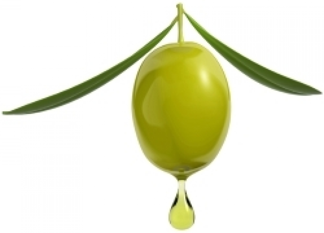 L'oliva è una fabbrica d'olio multilivello e l'inolizione comincia già a luglio
