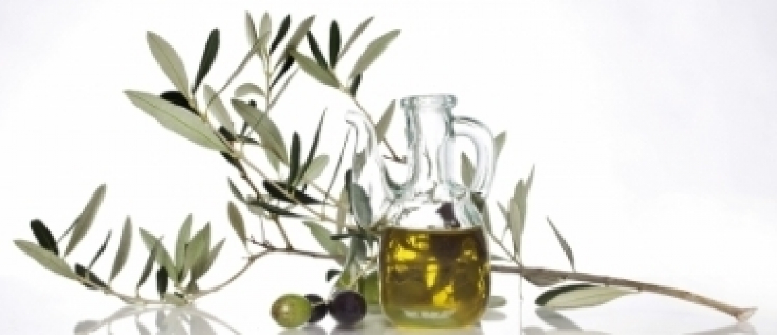 La biodiversità olivicola italiana, una ricchezza che non ha mai fine