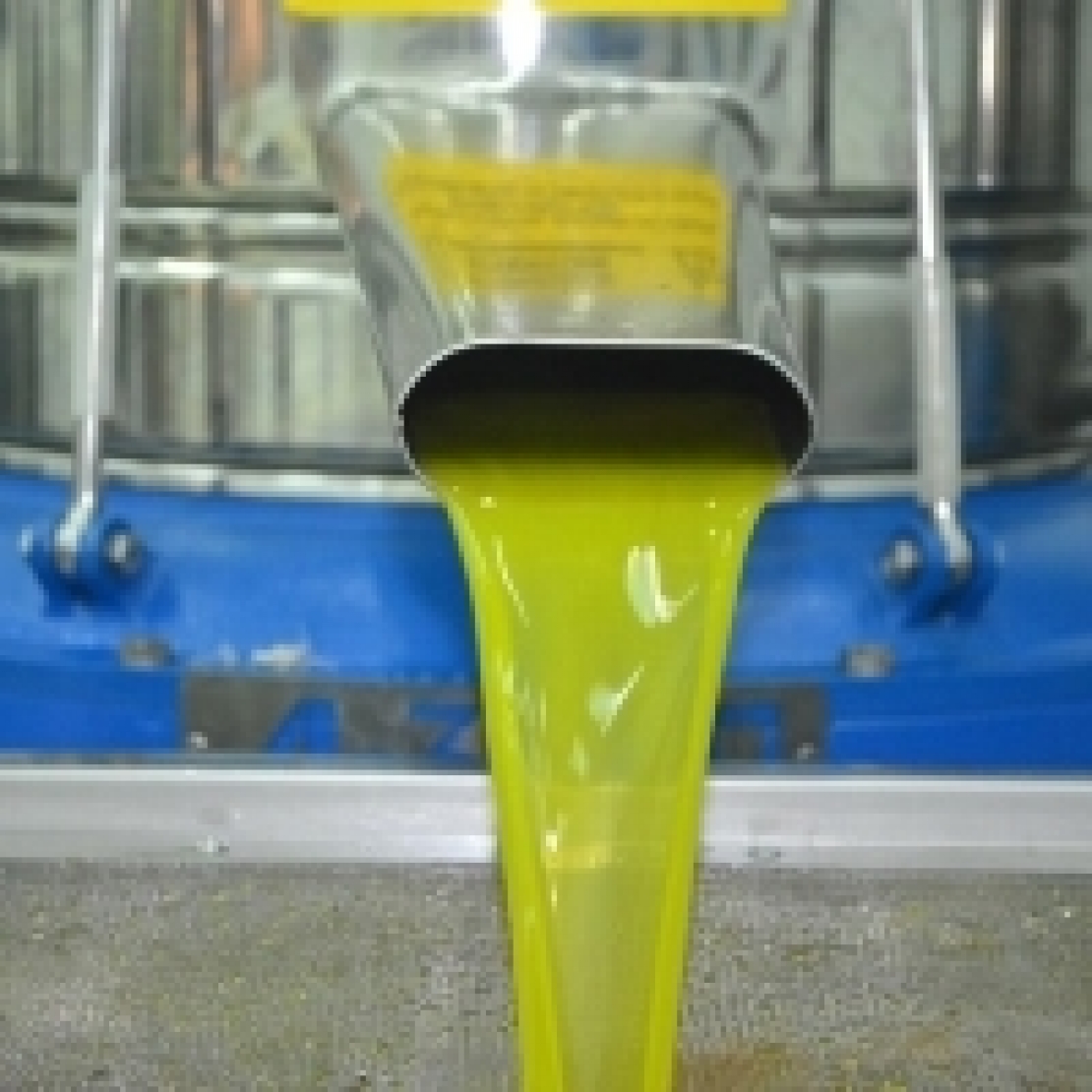 Un litro d'acqua per produrre un litro d'olio d'oliva, consumi sono troppo elevati