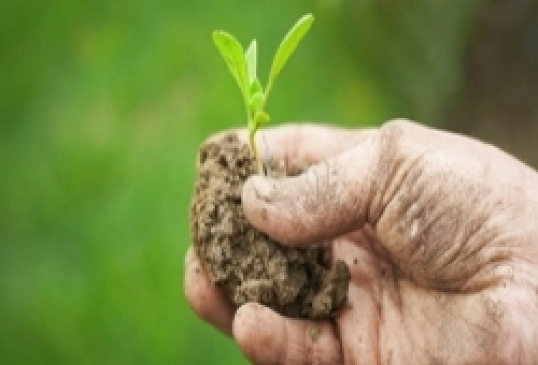 La politica agricola comunitaria fa il tagliando: accordo raggiunto sulla mini riforma