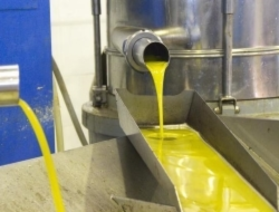 Più resa e più qualità per l'olio extra vergine d'oliva grazie alla cavitazione acustica