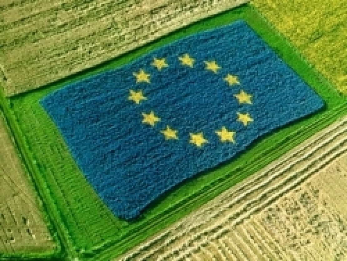 L'Europa si accorge che serve equa remunerazione dei profitti nelle filiere agroalimentari